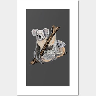 Koala Posters and Art